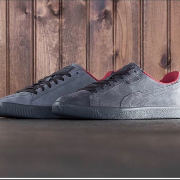 puma clyde pigeon